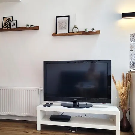 Modernes 1-zimmer-apartment Mit Galerie-schlafkoje Im Skandinavischen Stil Apartment