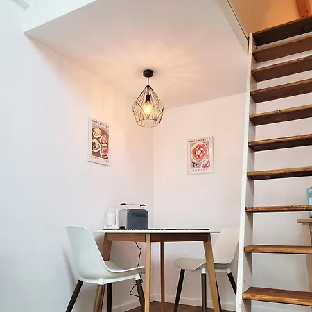 Modernes 1-zimmer-apartment Mit Galerie-schlafkoje Im Skandinavischen Stil