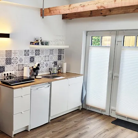 Modernes 1-zimmer-apartment Mit Galerie-schlafkoje Im Skandinavischen Stil