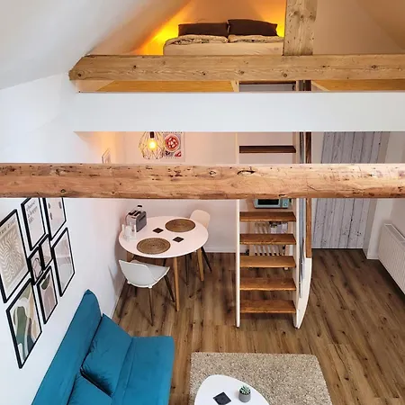 Modernes 1-zimmer-apartment Mit Galerie-schlafkoje Im Skandinavischen Stil Apartment