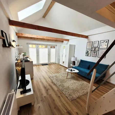 Modernes 1-zimmer-apartment Mit Galerie-schlafkoje Im Skandinavischen Stil Apartment *