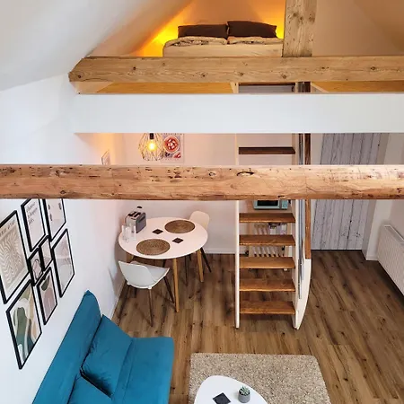 Apartment Modernes 1-zimmer-apartment Mit Galerie-schlafkoje Im Skandinavischen Stil